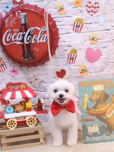 20230924みるくくん